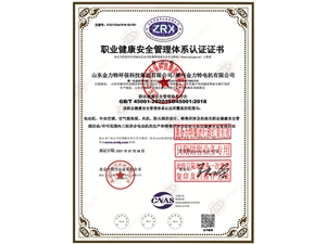 職業(yè)健康安全管理體系認證證書